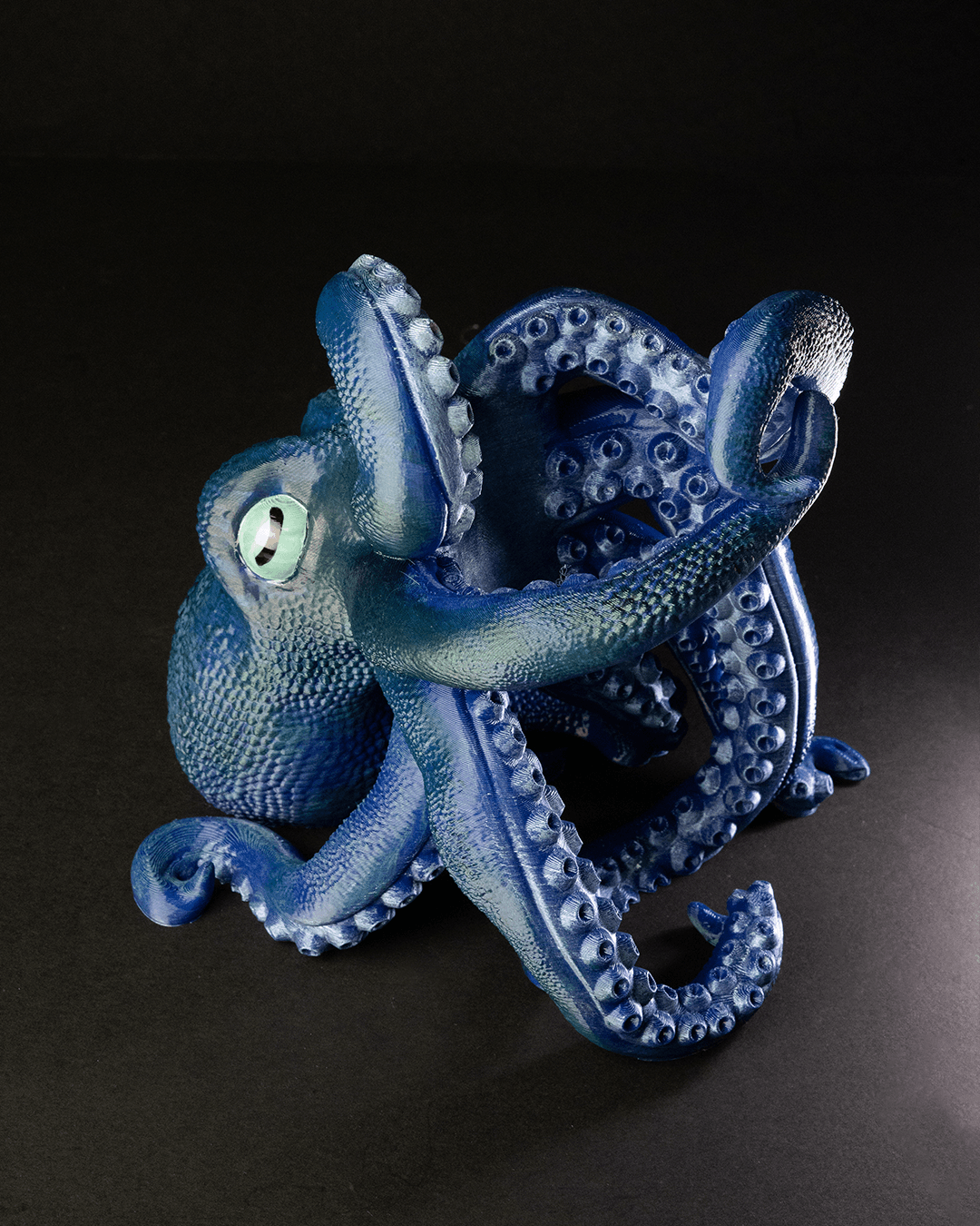 Bordeaux, The Octopus Wine Holder