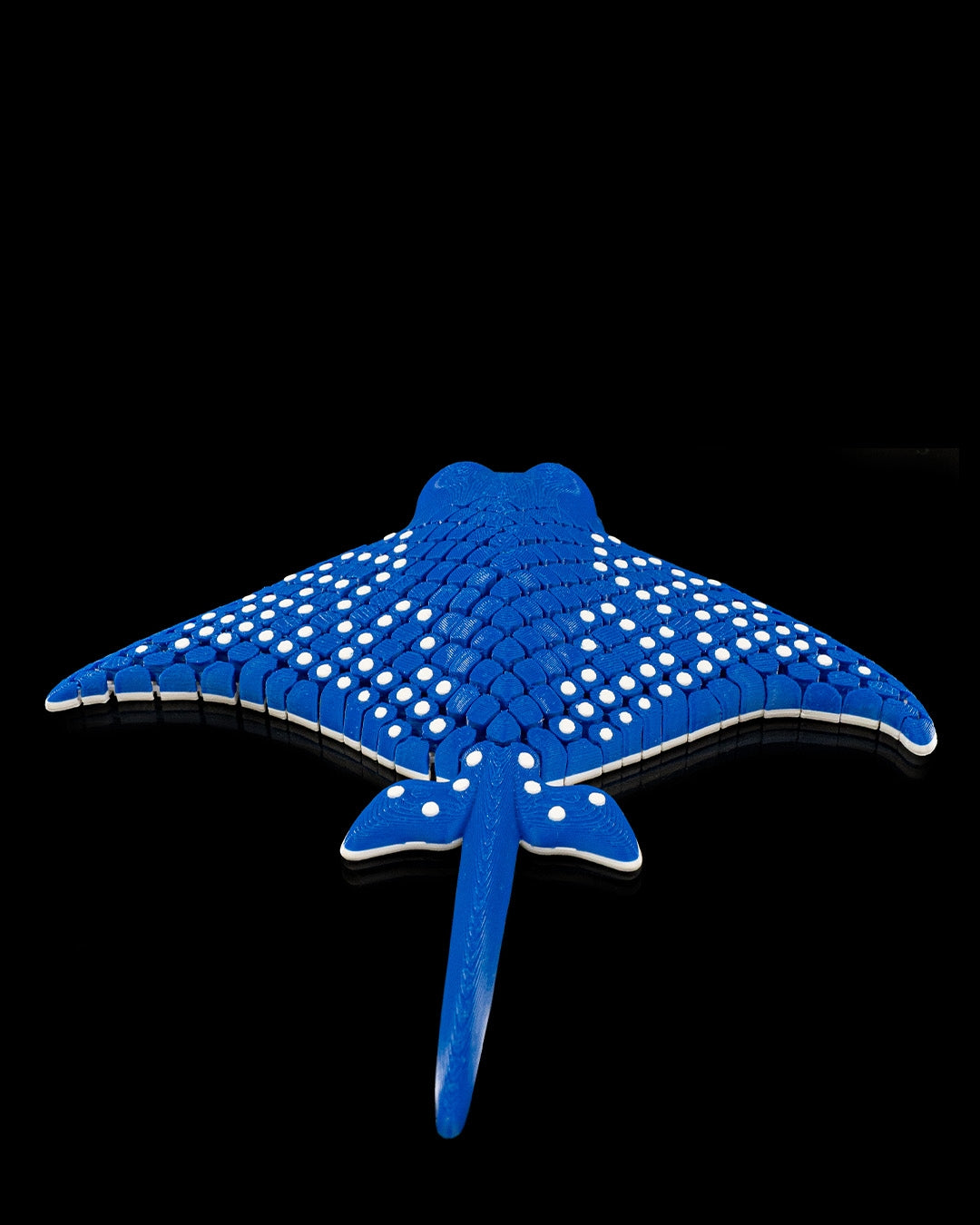 Igor, Spotted Eagle Ray