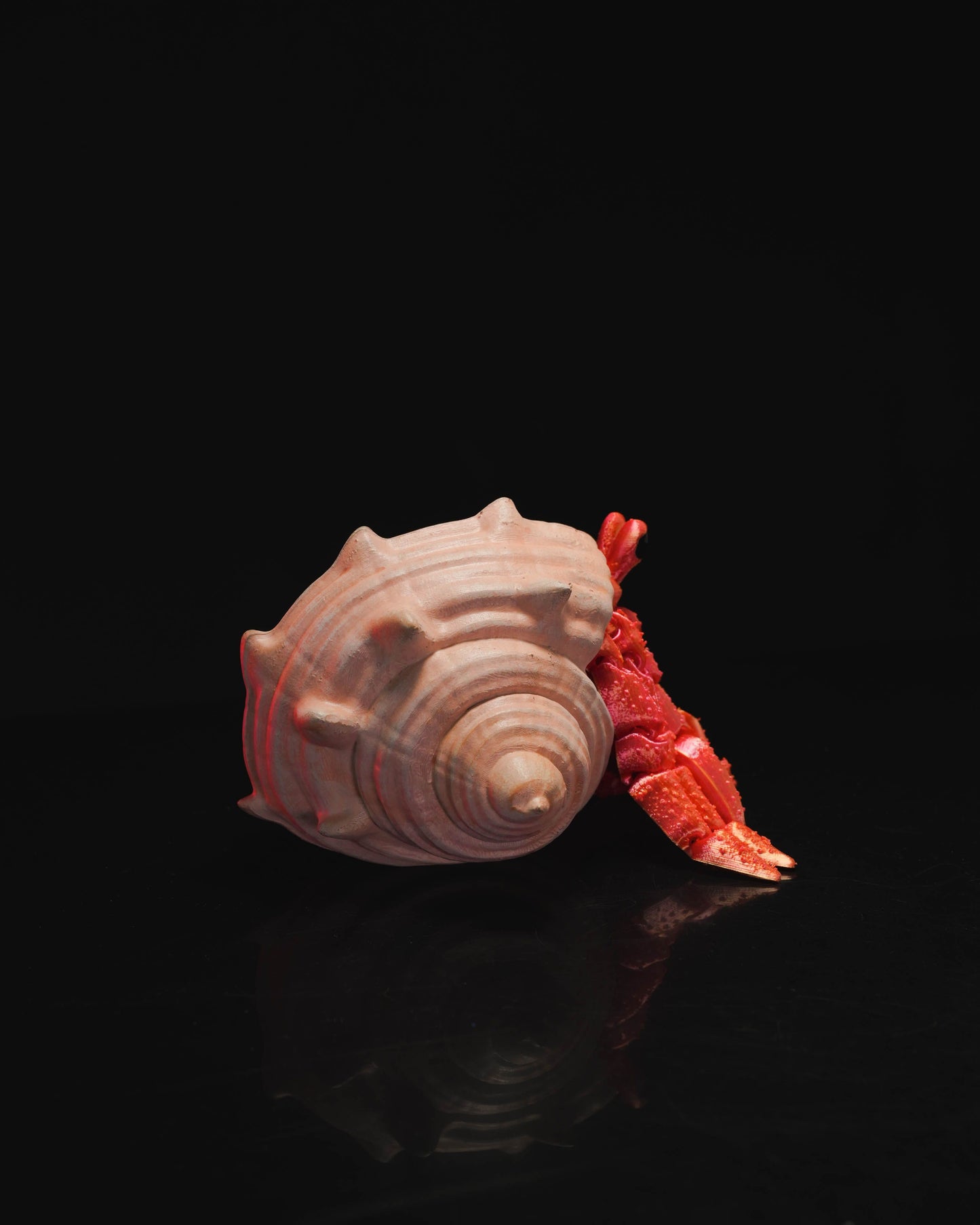 Hermit Crab