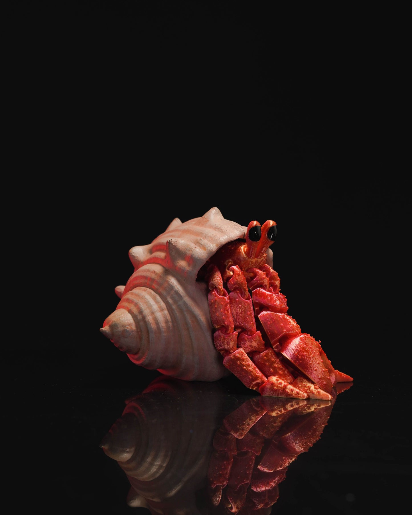 Hermit Crab